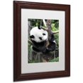 thumbnail image 2 of Trademark Fine Art "Giant Panda IV" Canvas Art by Philippe Hugonnard, White Matte, Wood Frame, 2 of 4
