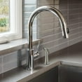 thumbnail image 6 of Danco 10332 Transitional Kitchen Sink Side Spray, Brushed Nickel, 6 of 7