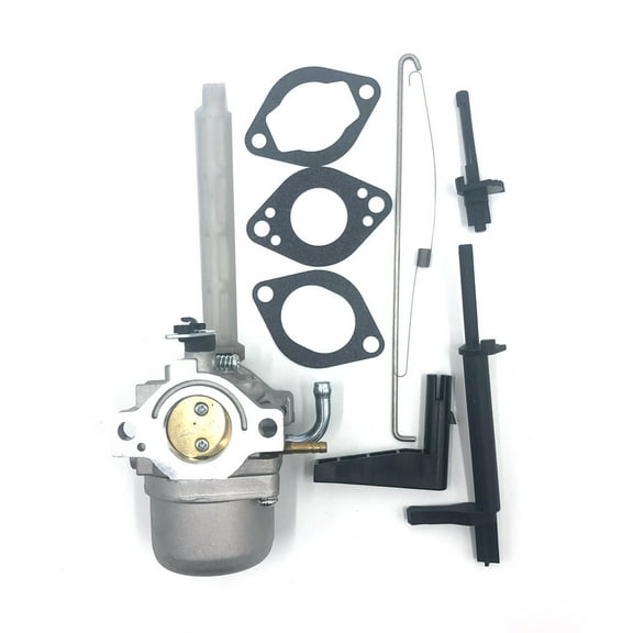 Carburetor for Briggs & Stratton 796122 793161 696737 794593 20A113 20A114