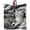 Gray Cats, variant on Tropical Rainforest Tiger Leopard Lion Blanket Gifts for Men Women Adults Dad Soft Cozy Jungle Wildlife Tigers Leopards Lions Throw Blankets for Couch Camping Home Decor 50x40 Inch