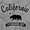 Sport Grey, variant on California Cute Cali Bear Souvenir Men's Graphic T Shirt Tees Brisco Brands M