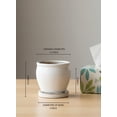thumbnail image 5 of Serene Spaces Living 5" Sora White Ceramic Planter, 5 of 7