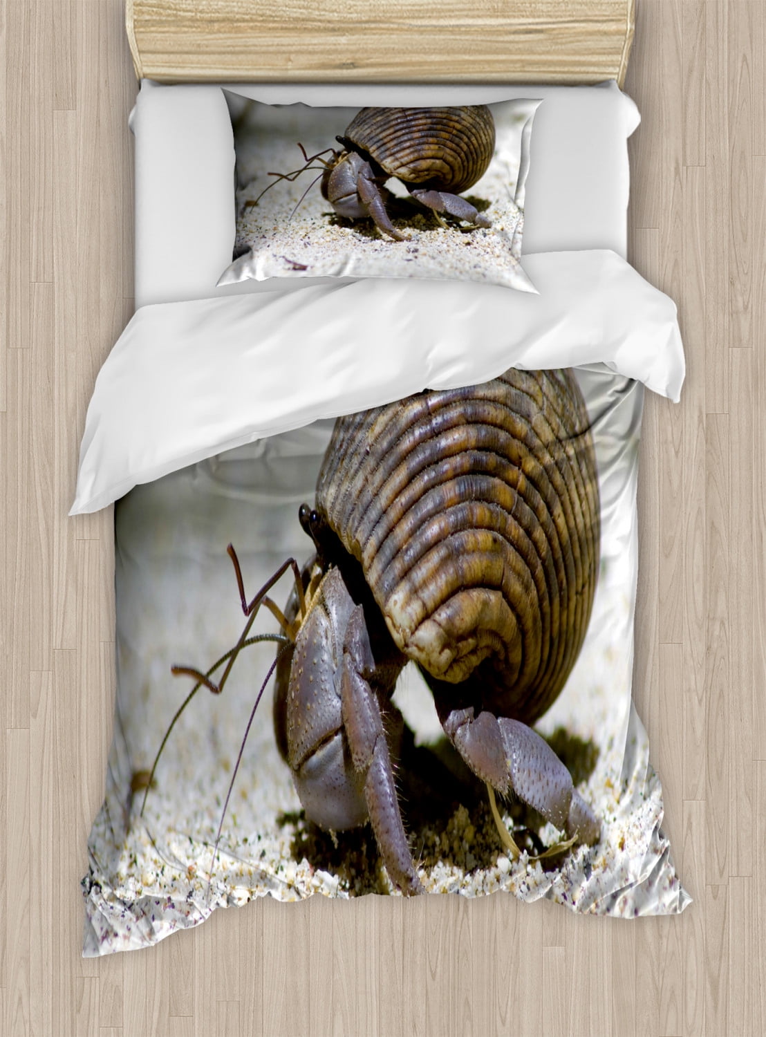 Hermit crab bedding hotsell