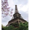thumbnail image 3 of Eiffel Tower Duvet Cover Set, Eiffel Natural Flowers Colorful Blossoms Cloudy Sky Perspective Paris Print, Decorative 3 Piece Bedding Set with 2 Pillow Shams, King Size, Grey Green, by Ambesonne, 3 of 3