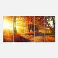 thumbnail image 2 of Autumnal Trees in Sunrays - Large Landscape Canvas Art Print, 2 of 3