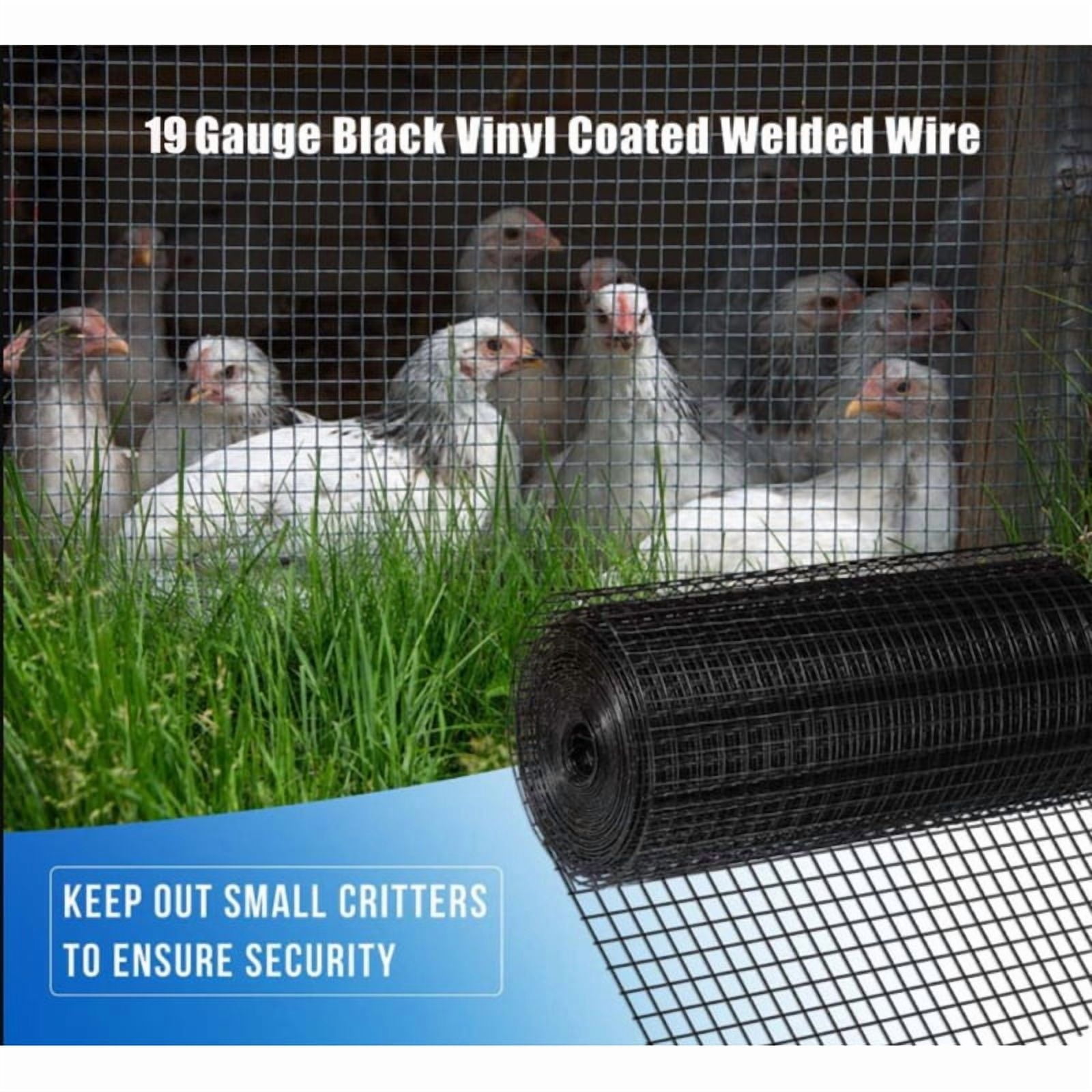 36 InchÃ50 Ft Black Vinyl Coated Hardware Cloth 19 Gauge 1 4 Inch Black PVC Hardware Cloth Black Welded Wire Fence Supports Poultry-netting Cage-home Improvement And Chicken Coop