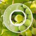thumbnail image 4 of Anillo De Fragancia Anillo de fragancia de orificio redondo Anillo de sabor a fruta para botella de agua perfumada (uva) Libre de BPA, 4 of 7