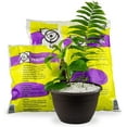 thumbnail image 3 of ⭐ BEST POTTING MIXES - Organic Perlite - (MADE IN UKRAINE ????) - Horticultural Soil Amendment for Indoor & Outdoor Container Plants for Drainage Management and Enhanced Growth - 20 Quart, 3 of 7