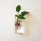thumbnail image 5 of Florero de Cristal con Forma de , Botella de Planta, Decoración para , Terrario, 5 of 8