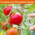 thumbnail image 3 of Secured Plastic Plant Clip,Tomato Trellis Clips, Plant Support Clips Tomato Clips for Climbing Plants, Plant Fixing Clips for Plant Supplies（White/200pcs）, 3 of 10
