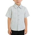 thumbnail image 2 of Ruyang Toddler Boys Baby Shirt Summer Short Sleeve 𝐂artoon Car Lapel T-Shirt Kids Boy Casual Lightweight Button Tops, 2 of 4
