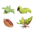 thumbnail image 4 of Figurilla de ciclo de vida realista Macarena Material didáctico de animal, 4 of 8