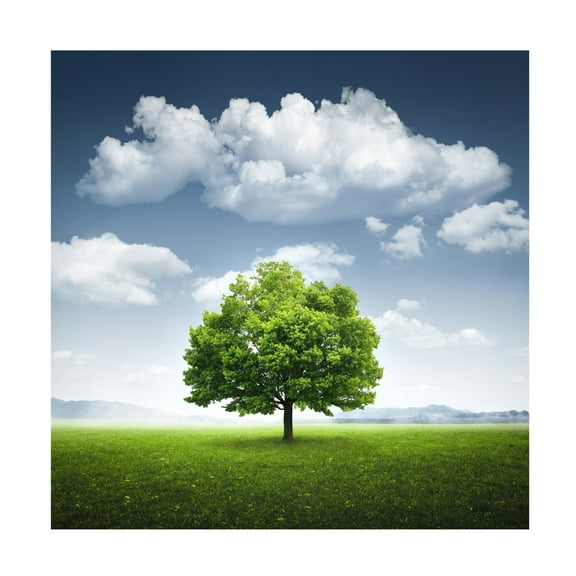 Trademark Fine Art Bess Hamiti Lone Tree Canvas Wall Art