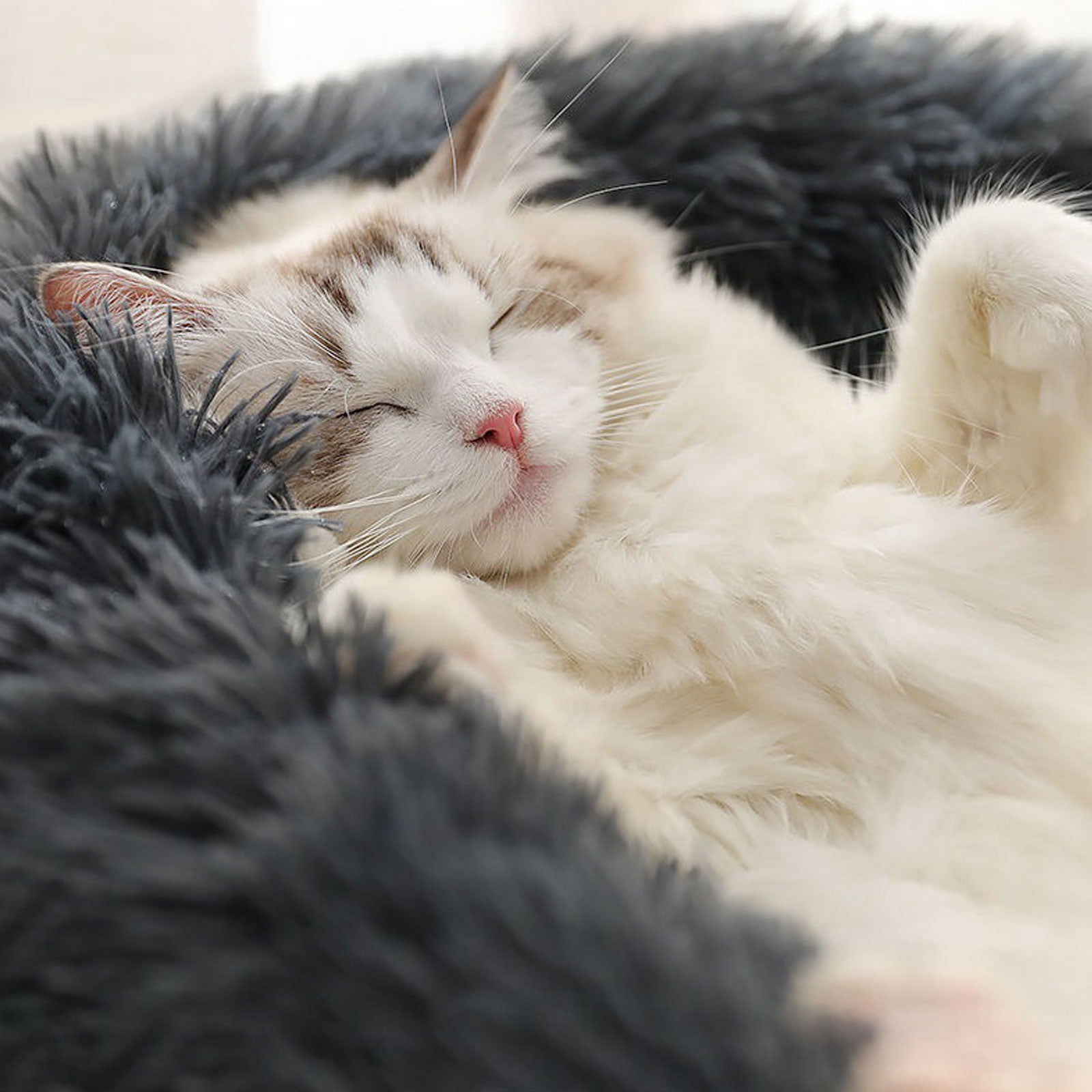 Xinlie Round Plush Pet Bed for Cats Small Dogs ,Fluffy Soft Pet Calming Bed Sleeping Kennel Nest 19.68in
