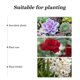 thumbnail image 3 of unbranded 8Jgo Macetas Plásticas Para Jardinería Con Drenaje Y Uso Para Y Cultivo Hidropónico, 3 of 8