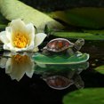 thumbnail image 4 of MasteelfCA 1Pc Floating Pond Decor Floating Turtle Ornament Simulation Turtle Figurine, 4 of 8