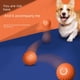 thumbnail image 5 of Juguete para mascotas, pelota de salto por gravedad, juguete eléctrico para perros, pelota interactiva para mascotas, divertido juguete para aliviar el estrés para gatos y perros, 5 of 5