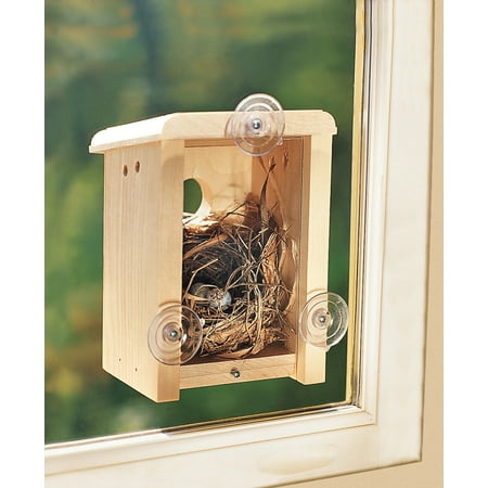 - Coveside 10010 Window Nest Box Birdhouse
