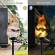 thumbnail image 5 of Solar Garden Lawn Light Resin Squirrel Ground Light B, 5 of 5