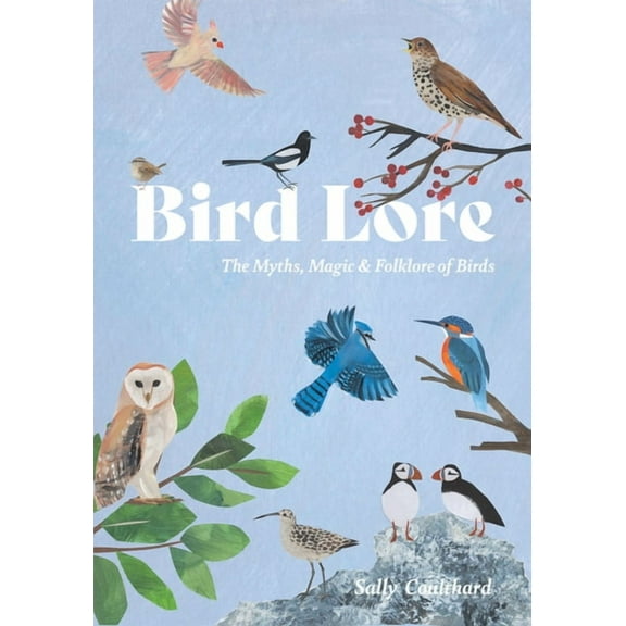 Bird Lore: The Myths, Folklore and Meaning of Birds, (Hardcover)