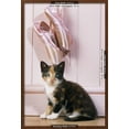 thumbnail image 3 of Tortoiseshell Cat Kitten with Ballet Shoes, Animals Figurative Framed Art Print Wall Art Sold by Art.Com, 3 of 6