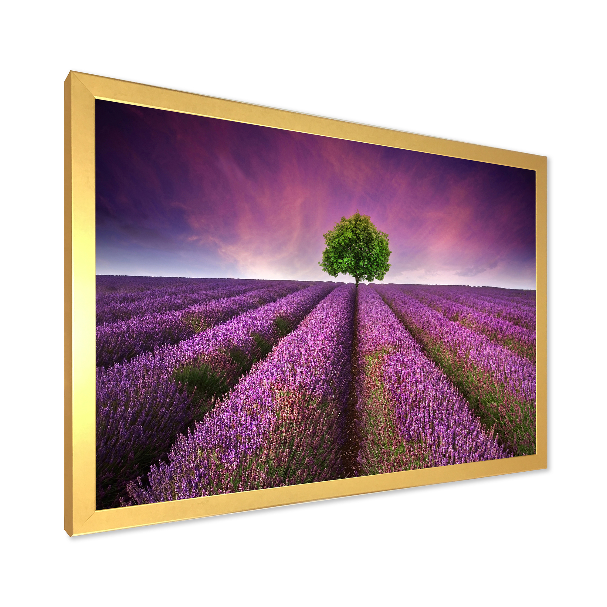 Designart 'Tree With Stunning Lavender Field Summer Sunset' Farmhouse Framed Art Print