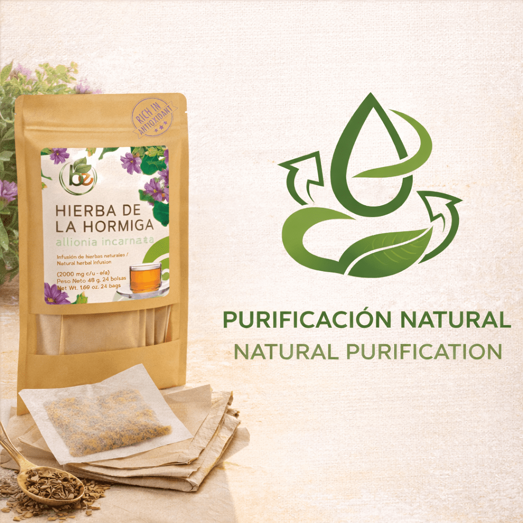 Hierba de la Hormiga (Trailing Windmills) Herbal Tea - 24 Premium Tea Bags (2000mg per Bag) - Authentic 100% Natural Mexican Botanical - Caffeine-Free, Vegan & Non-GMO - Traditional Support for Metab