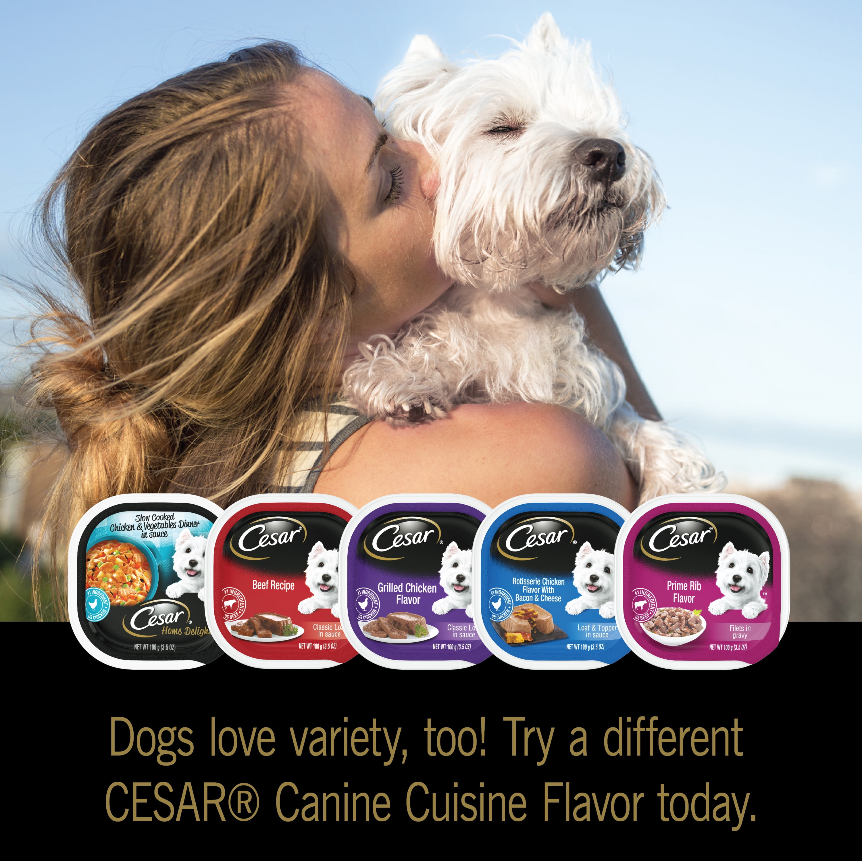cesar beef dog food