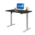 thumbnail image 1 of FLEXISPOT Standing Desk 48 x 24 Inches Adjustable Desk Memory Controller Electric Sit Stand Desk Home Office Desk (Gray Frame + Black Top), 1 of 1