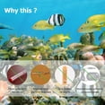 thumbnail image 4 of CHICHUMID for Home Use with Humidity Monitor Indoor Temperature Gauge White ABS 2 in 1, 4 of 6