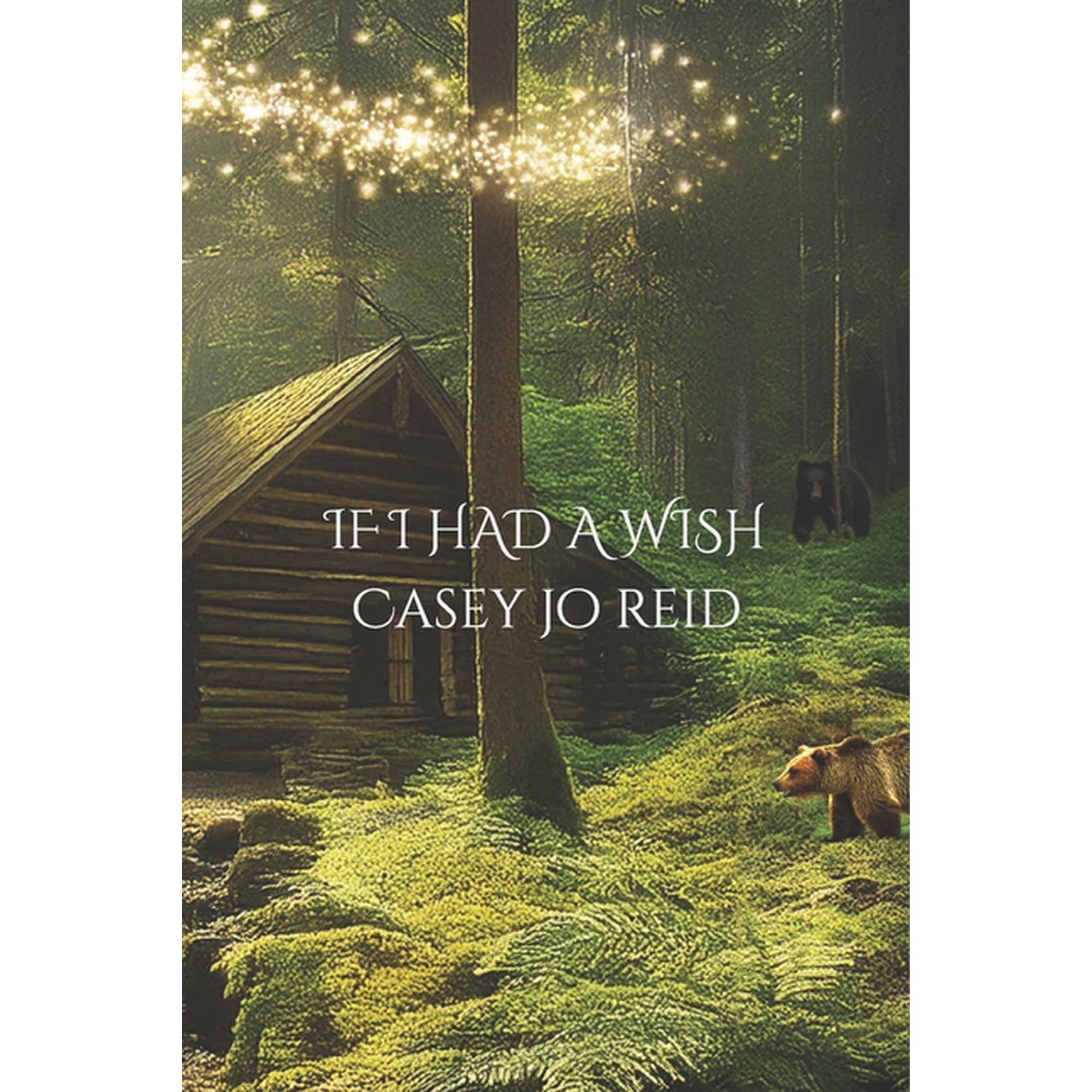 If I Had One Wish, (Paperback)