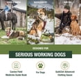 thumbnail image 2 of Kit médico para perros Adventure Medical Kits Workin' Dog con QuikClot, 2 of 9