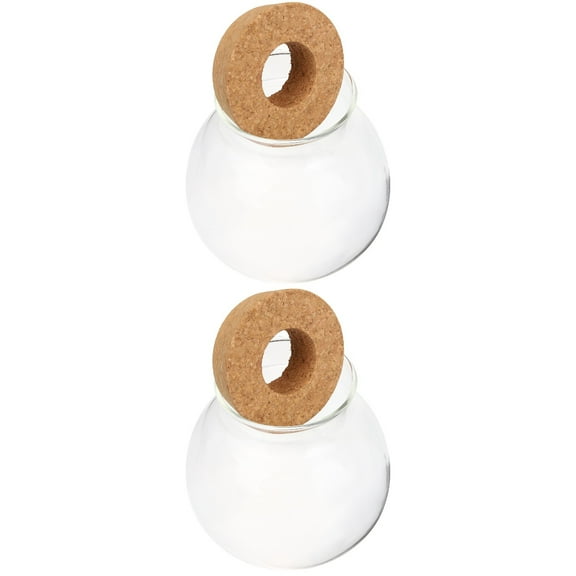 2 Pieces Hydroponic Glass Bottle Pots for Plants Hydroponic Plant Planter Glass Hydroponic Planter Glass Plant Terrarium