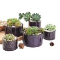 thumbnail image 5 of Diy Flower Pot Epoxy Resin Mold Jewelry Storage Box Cup Casting Silicone Mould, 5 of 5