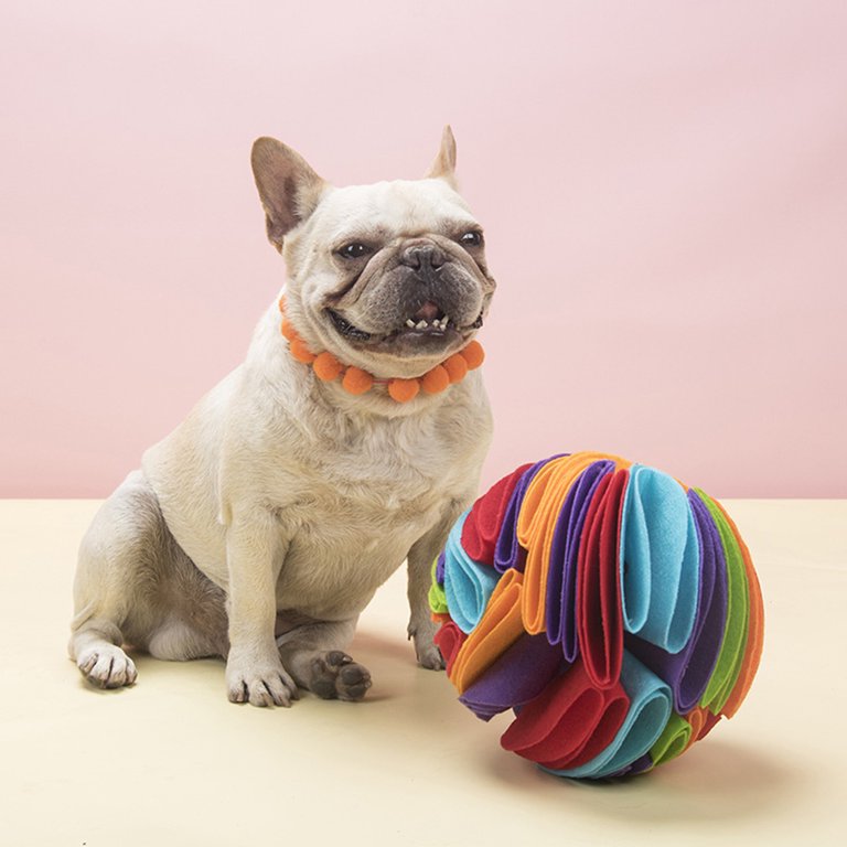 INTERACTIVE PET SNUFFLE BALL