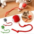 thumbnail image 3 of Cat Rolling Ball Automatic Obstacle Avoidance Cat Ball Interaction Pet Supply, 3 of 5