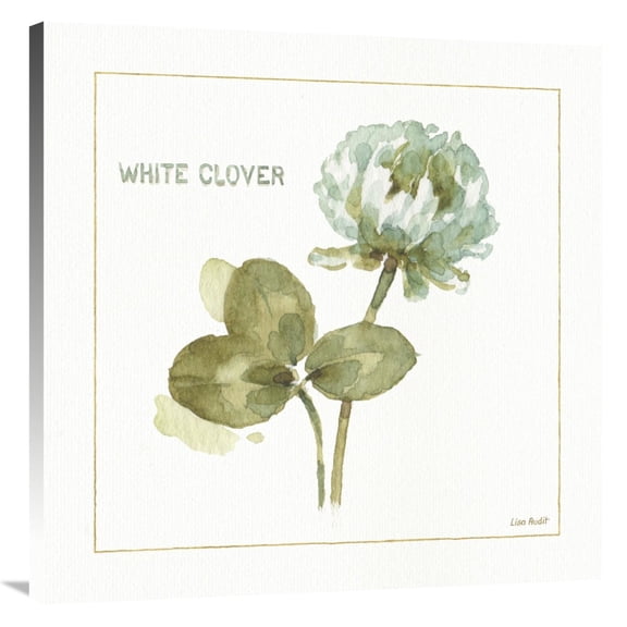 Global Gallery's 'My Greenhouse Clover' By Lisa Audit Stretched Canvas Wall Art