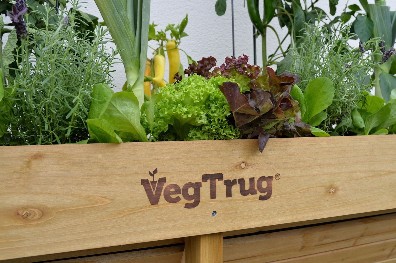 VegTrug Small Wall Hugger Raised Garden Bed Planter