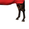 thumbnail image 3 of Supreme Products Body Wrap, 3 of 4