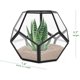 thumbnail image 3 of Terrario geométrico de mesa, 7,8 x 7,8 x 6,5 pulgadas, metal con contenedor de terrario para suculentas de vidrio, macetero de aire, joyería, decoración de boda, caja de cartón con flores, portavelas, 3 of 6
