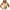 42# Khaki, variant on UoCefik Tank Tops With Built In Bras for Women 2025 Adjustable Spaghetti Strap Camisole Tops Cotton Padded Bra Undershirts Trendy Tank Tops Hot Pink XXL