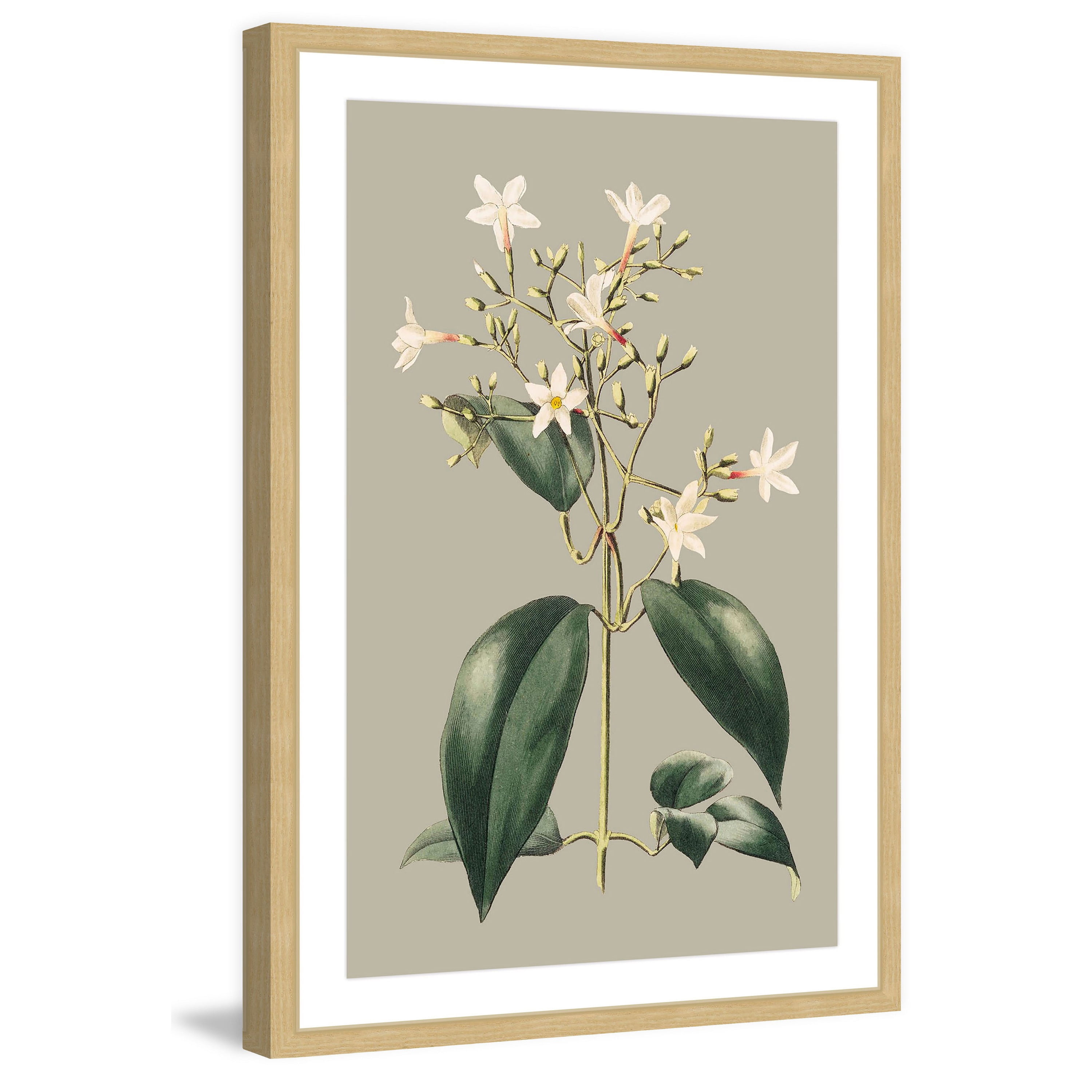 Marmont Hill "Botanical Cabinet I" Framed Painting Print
