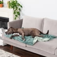 thumbnail image 6 of FurHaven Pet Products Waterproof Velvet Throw Blanket - Celadon Green, Large, 6 of 12