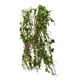 thumbnail image 3 of Conjunto De 2 Modelos De Plantas de En Miniatura Para Accesorios De Modificación De Bricolaje De Paisaje, 3 of 7