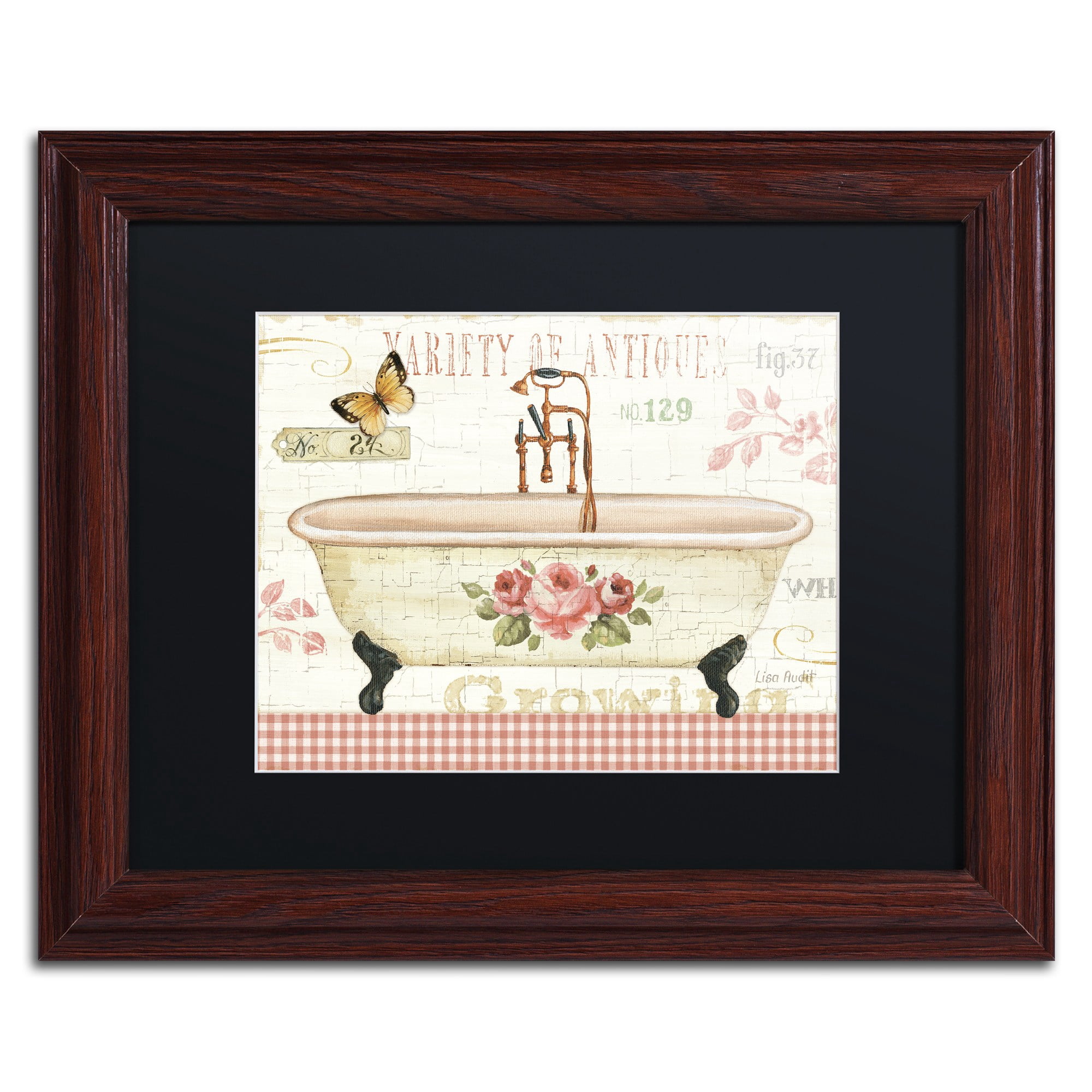 Trademark Fine Art "Rose Garden III no Border" Canvas Art by Lisa Audit, Black Matte, Wood Frame
