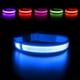 thumbnail image 1 of Collar para perros azul S recargable e impermeable con luz LED intermitente y cinturón ajustable para perros pequeños, medianos y grandes., 1 of 5