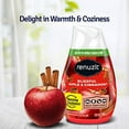 thumbnail image 3 of Renuzit Adjustable Solid Gel Air Freshener Cones, Apple & Cinnamon, Nonstop Freshness, 7 Ounces, 12 Cones, 3 of 3