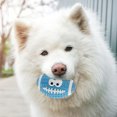 thumbnail image 2 of Pelota de Rugby chirriante para perros, pelotas de Rugby interactivas para perros, juguetes de pelotas de Rugby para perros, 3 uds., 2 of 4