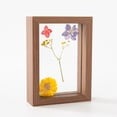 thumbnail image 1 of Tignapoo Walnut Double-Sided Glass Display Frame for Dried Flowers and Photos - 8 Inch (15x20cm) DIY Craft Project, 1 of 1