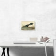 thumbnail image 2 of ARTCANVAS Blue-Winged Teal Canvas Art Print by John James Audubon - Size: 12" x 8" (0.75" Deep), 2 of 9